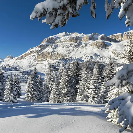 Active Malita فندق