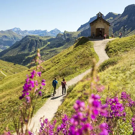 فندق Active Malita 3*