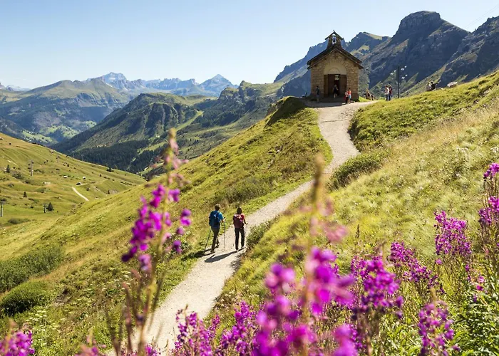 Hotel Active Malita 3*