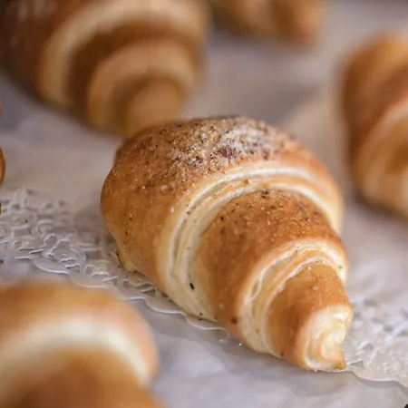 فندق Active Malita